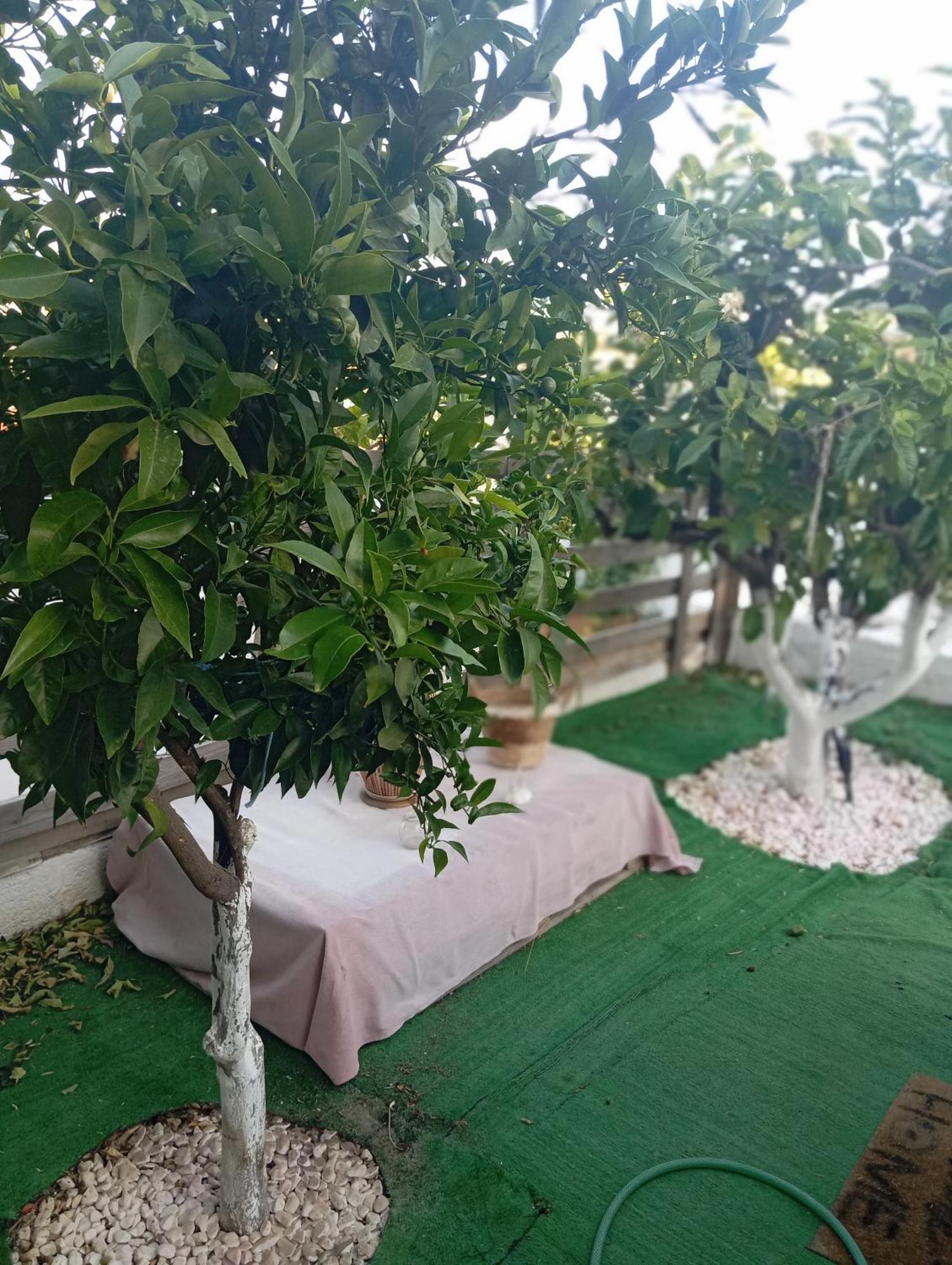 Queens Luxury Glamping Palaiokastro  Exterior foto